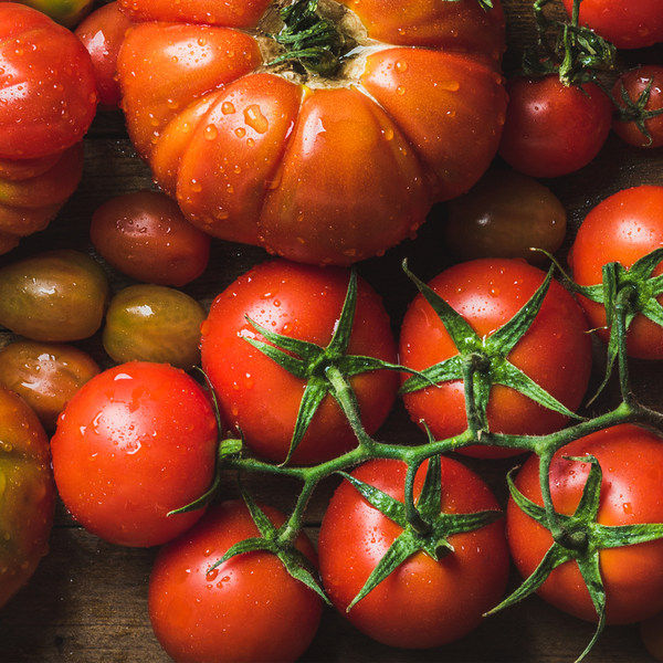 Tomato Risottos: Comfort and Creativity in Every Spoonful