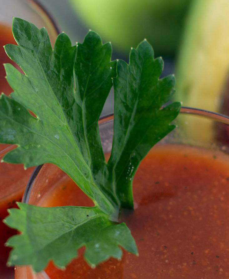 Centrifugato al pomodoro, zenzero e carota